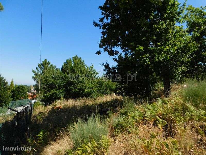 Lote / Seia, Seia, São Romão e Lapa dos Dinheiros - Grande imagem: 5/9