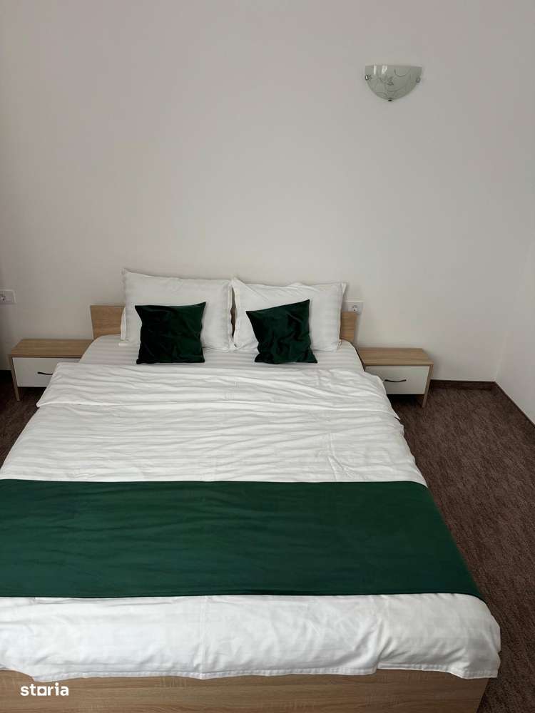 RAMDA,Afacere la Cheie Pensiune 9 CAMERE Baile 1 Mai Baile Felix-12