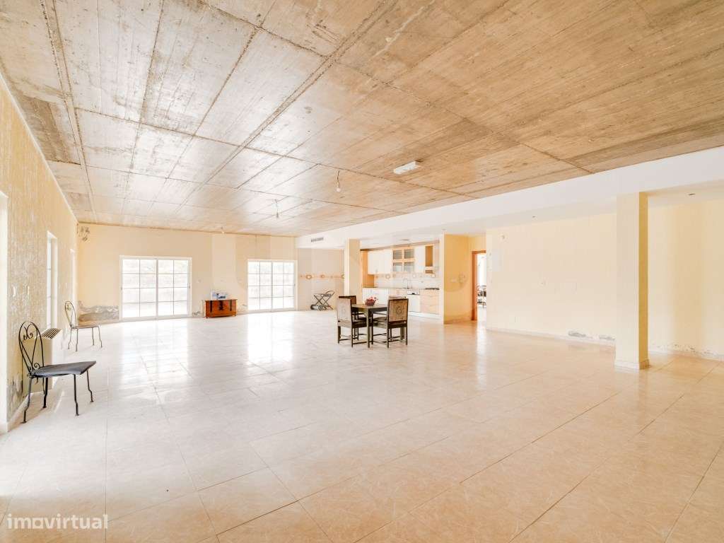 Quinta com 4,8 hectares e casa T9 em Vila Nova da Baronia-58