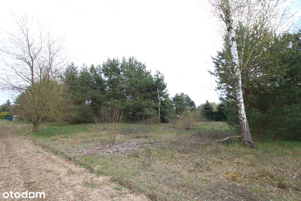 Duża działka 0,6 ha leśno-budowlana Wola Lisowska - Pełny obrazek: 5/16