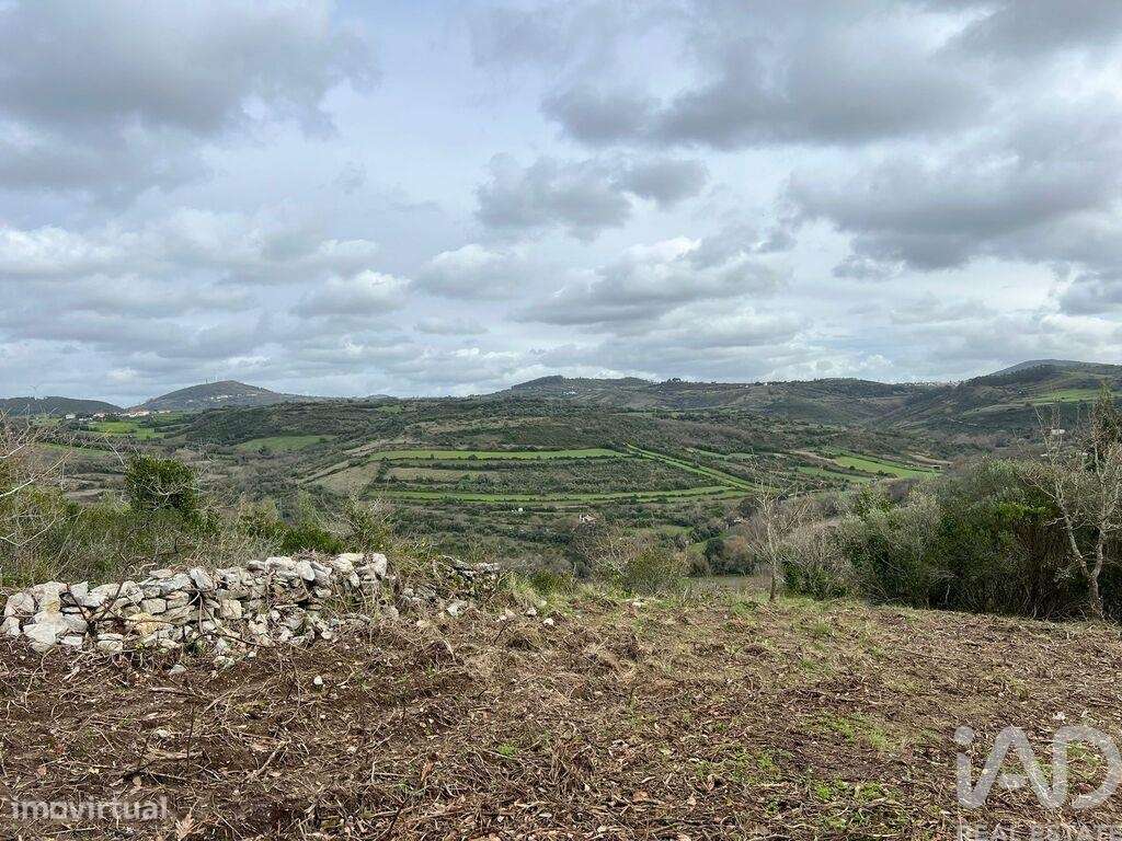 Terreno em Almargem do Bispo, Pêro Pinheiro e Montelavar - Grande imagem: 4/16