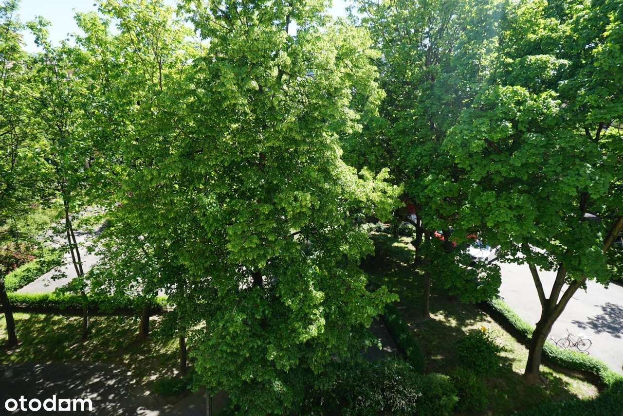 2 osobne pokoje po remoncie | Niski czynsz | Gocław Obok Saskiej Kępy - Pełny obrazek: 4/4