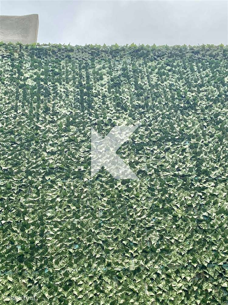 T1 venda Matosinhos Sul-30