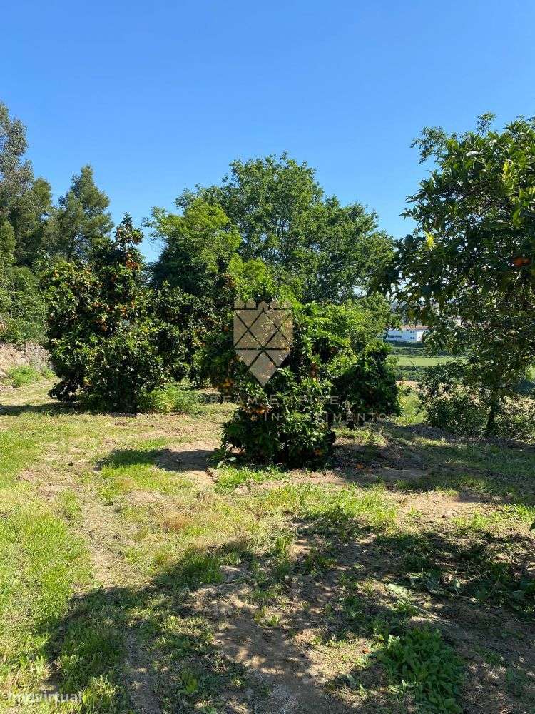 Quinta de Paço de Sousa – Tradição, Natureza e Potencial em Harmo-34