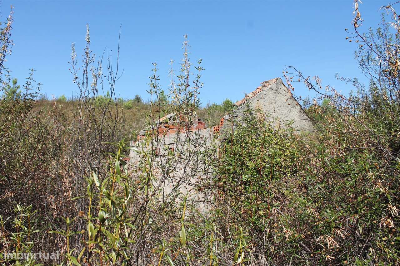 Terreno - Grande imagem: 5/12