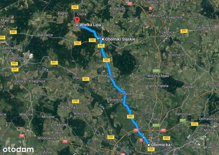 Działka z lasem w cenie 70zł/m2. - Pełny obrazek: 4/4