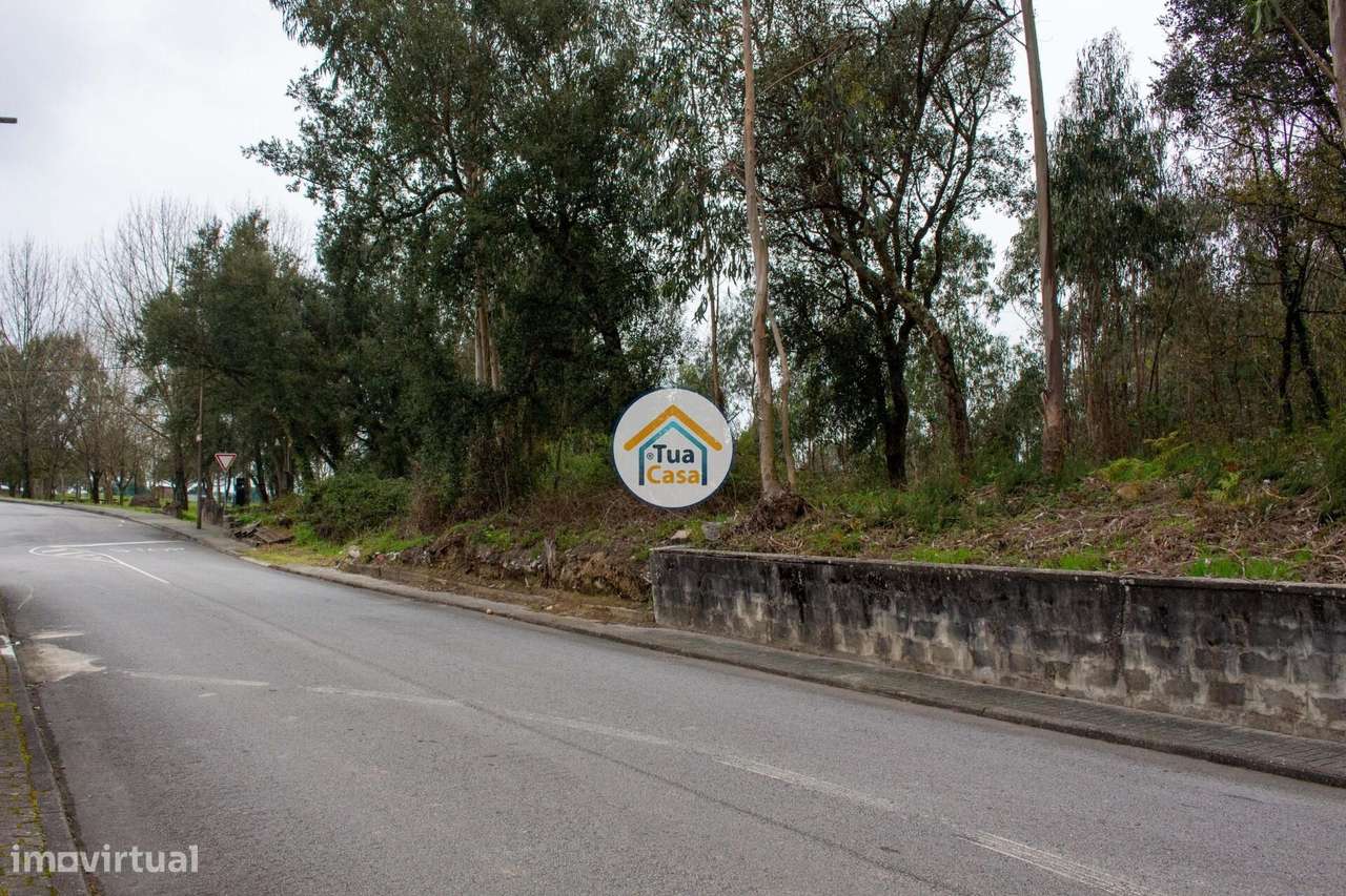 Terreno para Construção – 4000m2 em Lourosa - Grande imagem: 2/15