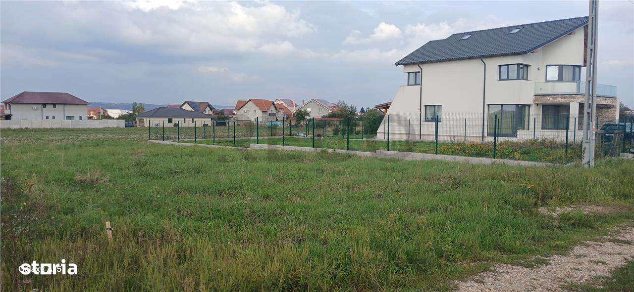 RECO Teren intravilan Sanmartin - Imagine principală: 5/8