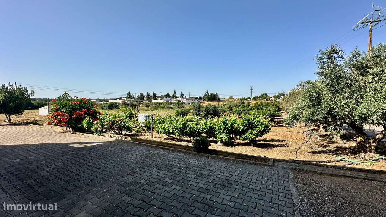 Alentejo-BEJA- Nossa Senhora das Neves, Excelente Quinta, com MORADIA-28