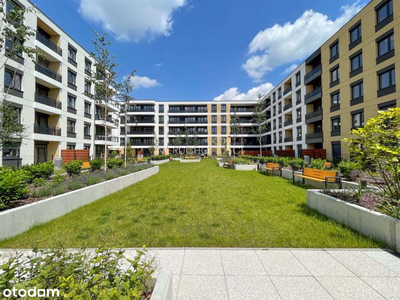 Narożne | Duży balkon | Ciekawy układ | Gotowe - Pełny obrazek: 5/15