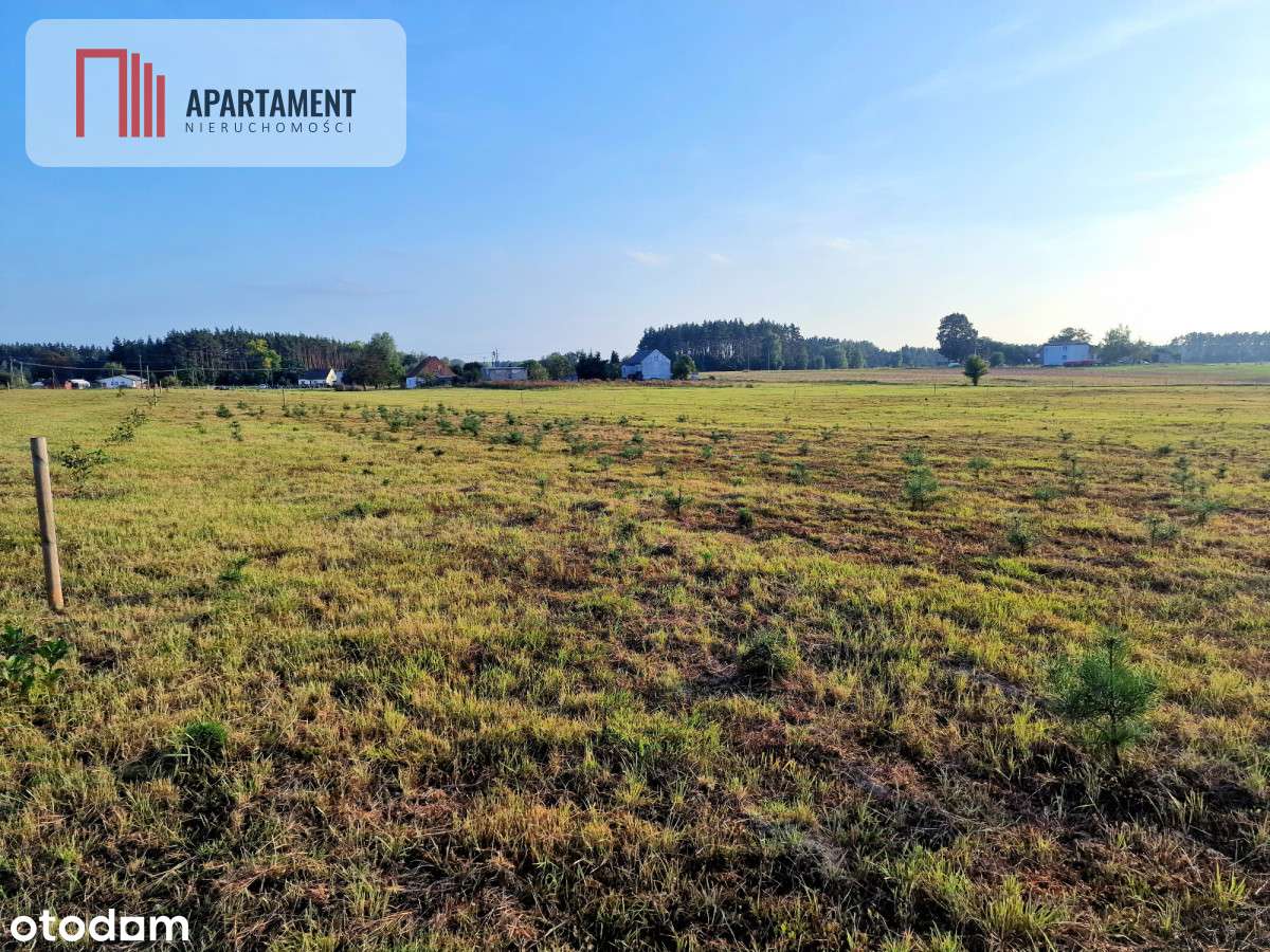 Tylko u Nas! Działki 15 minut od Bydgoszczy! - Pełny obrazek: 2/13