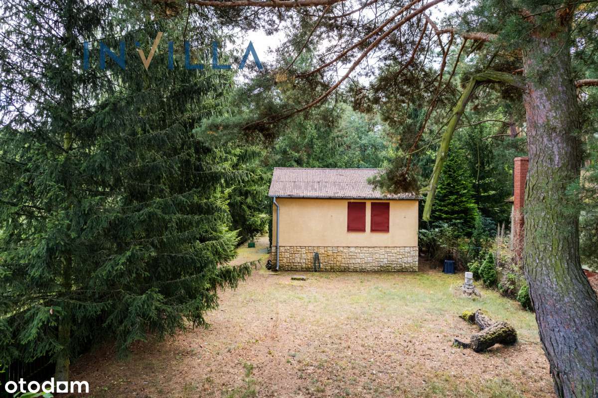 Działka rekreacyjna z domem przy lesie - Pełny obrazek: 5/11