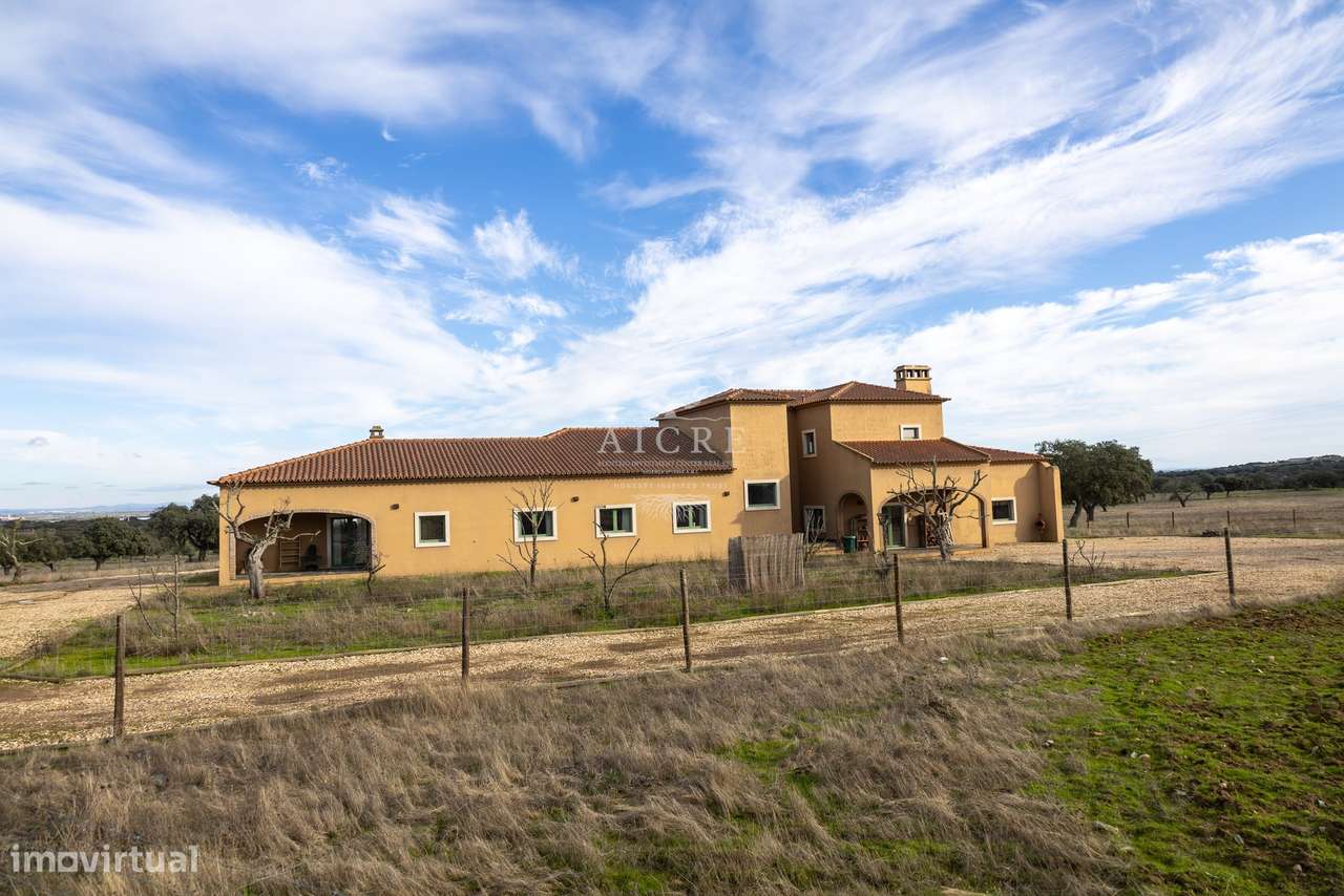 Herdade Alentejo-40