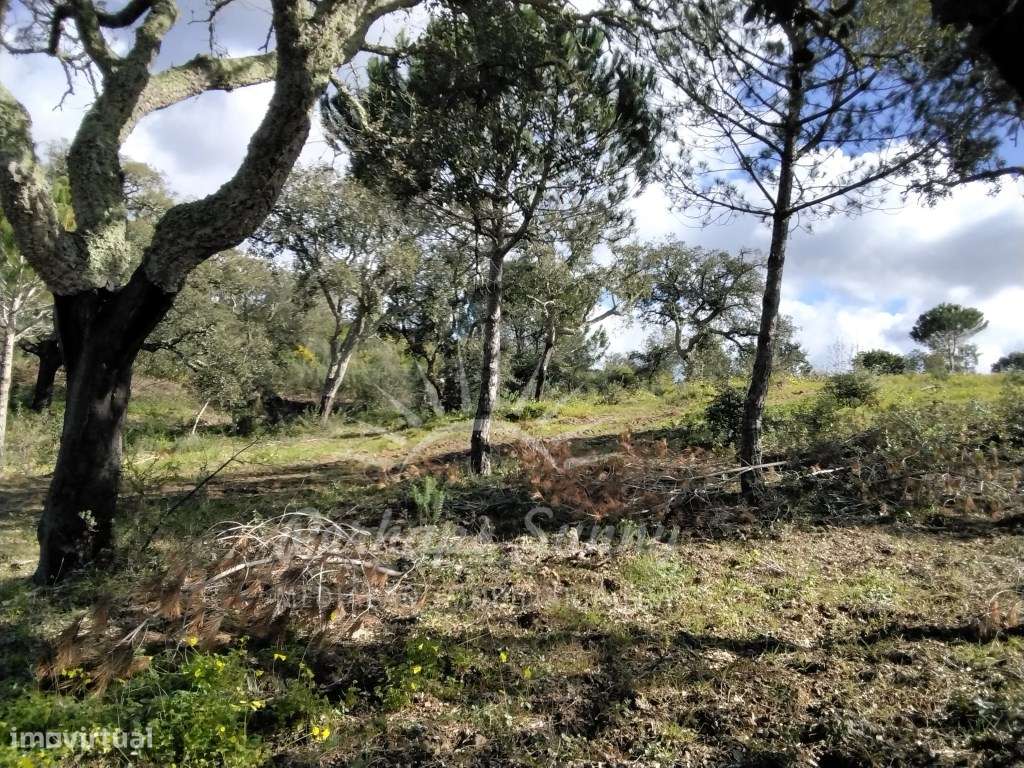 Terreno com projeto moradia Aprovado - Grande imagem: 3/38