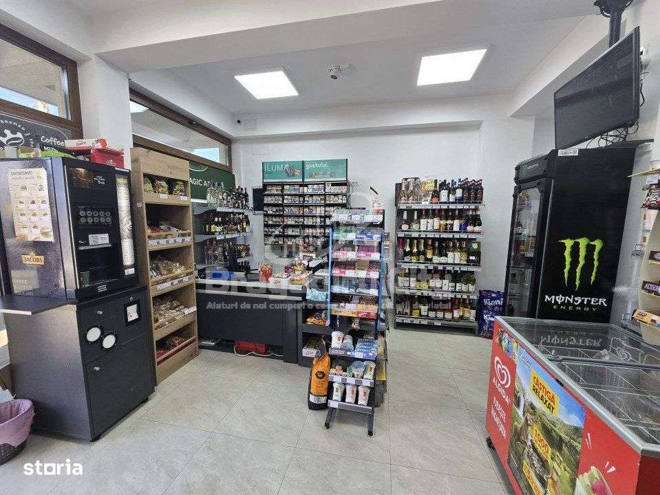 OFERTA- P+1E -  Spatiu comercial stradal Clinceni - Imagine principală: 2/14