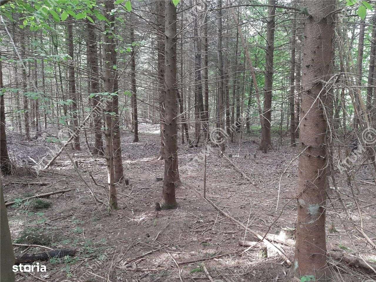 Teren intravilan  Avrig pe Valea Avrigului in zona Mlaci - Imagine principală: 4/5