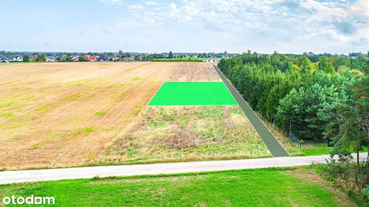 Działka 16 ar, blisko centrum, obok zagajnika - Pełny obrazek: 3/4