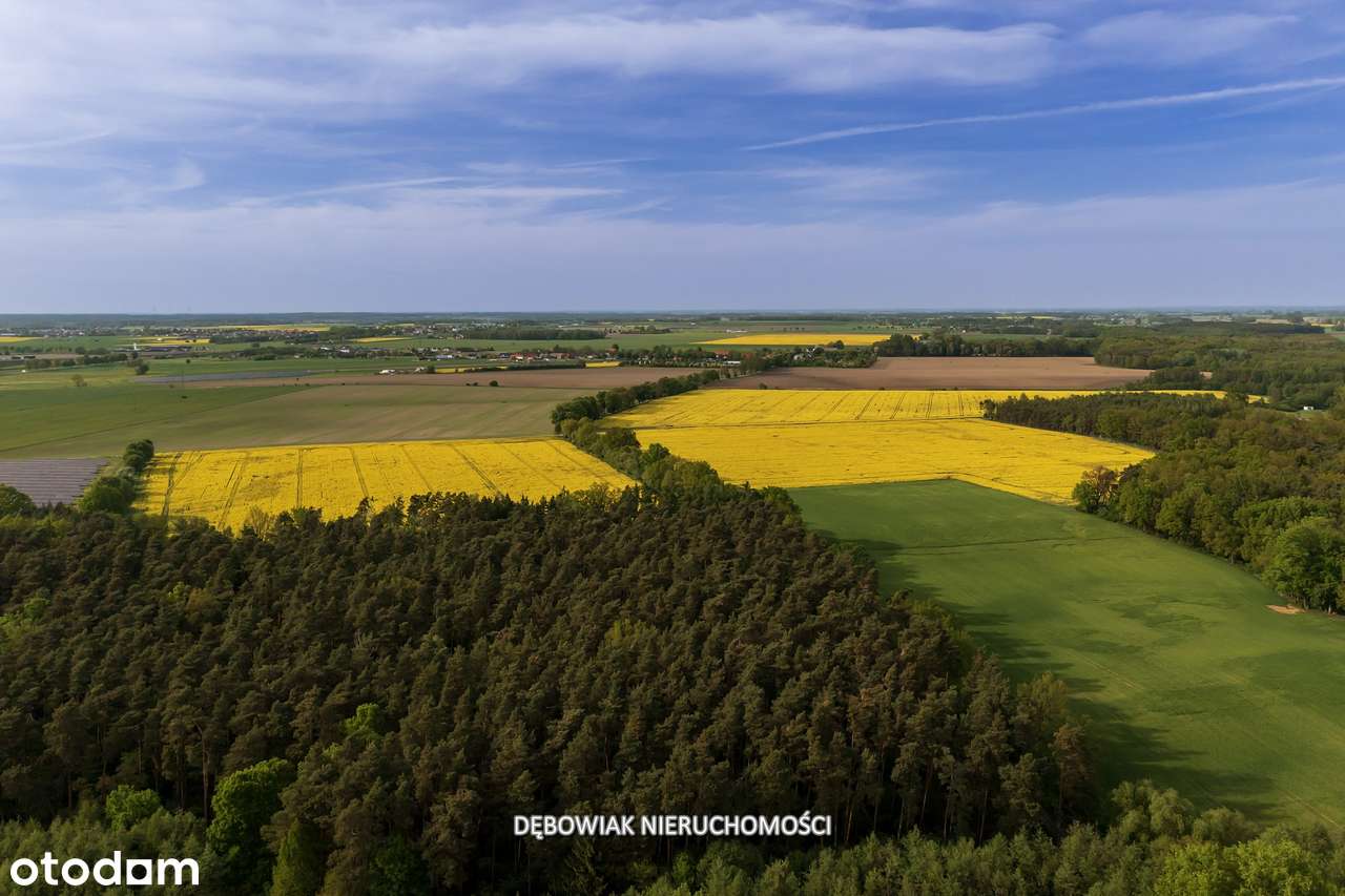 II etap sprzedaży / Atrakcyjne nowe osiedle w Gronówku / blisko Leszna-17