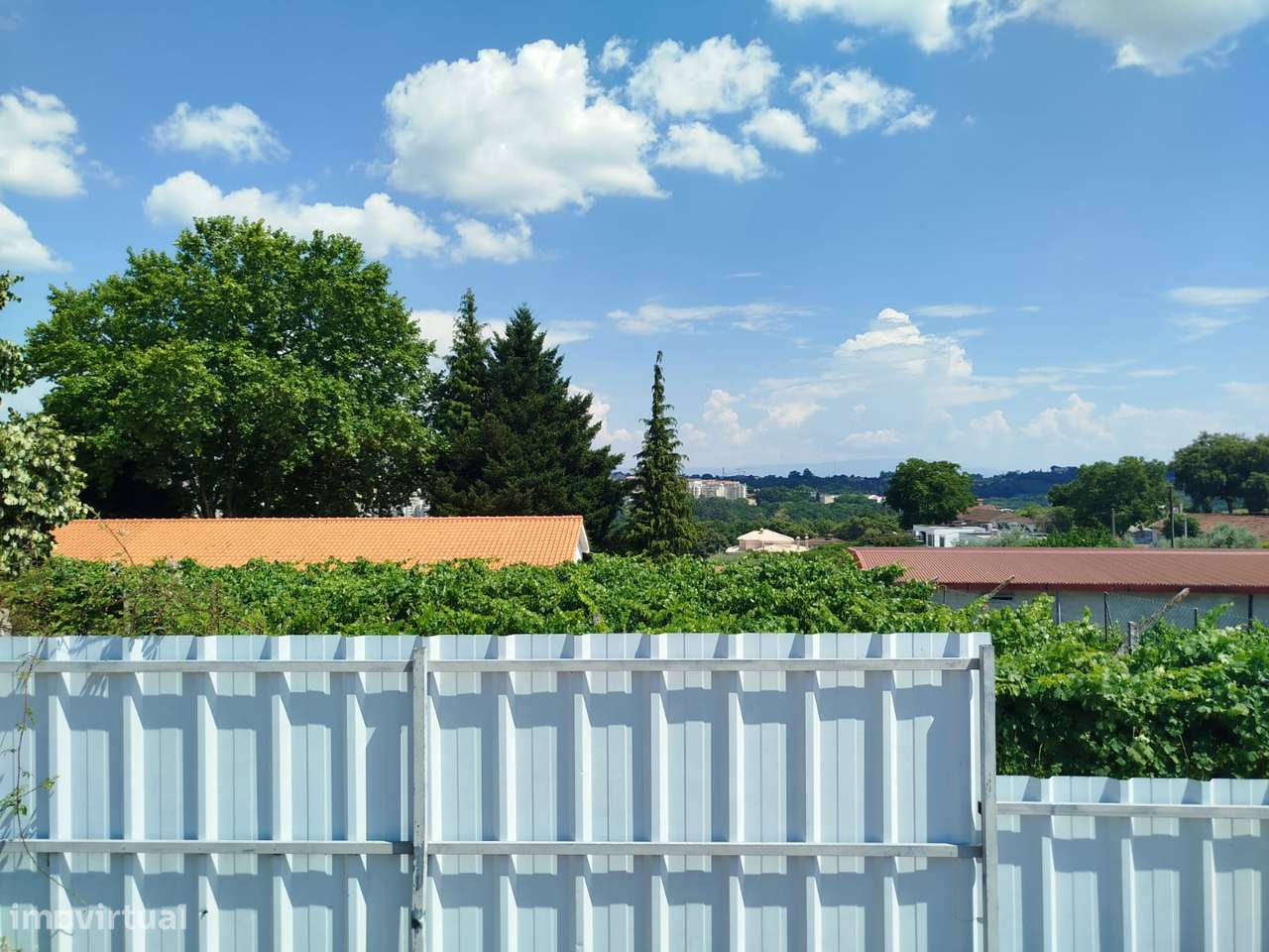 Terreno Para Construção - Orgens - Viseu-5