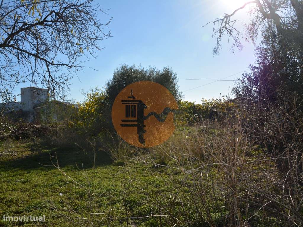 TERRENO COM POSSIBILIDADE PARA CONSTRUÇÃO 12 APARTAMENTOS - Grande imagem: 4/54