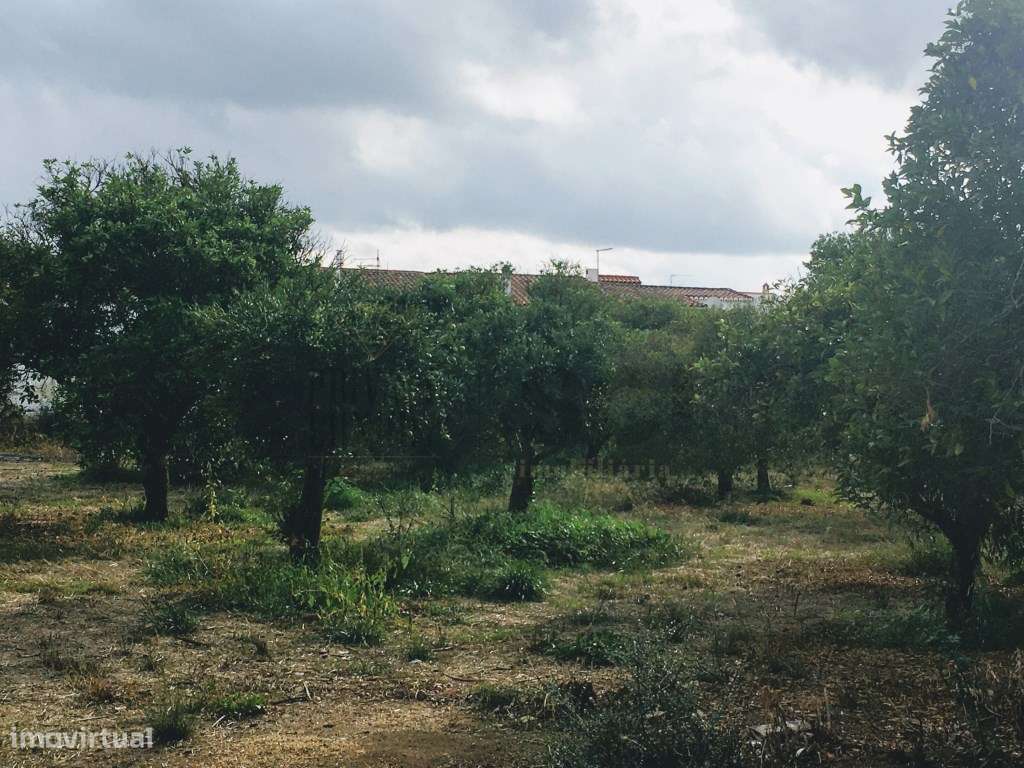 Casa Senhorial | Serpa-19