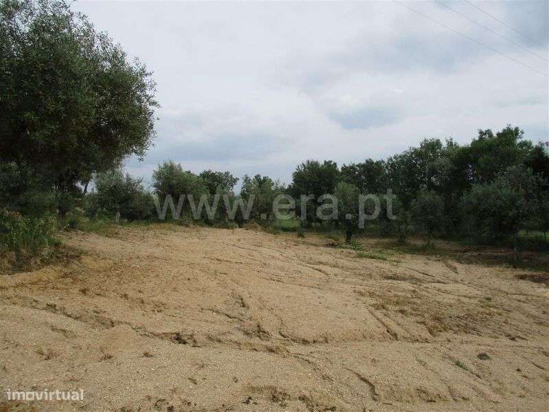 Quinta Estúdio / Fundão, Póvoa da Atalaia - Grande imagem: 5/12