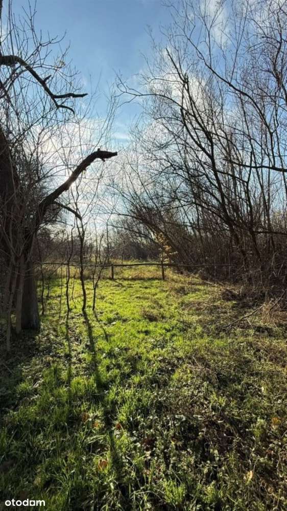 Wilkowiecko, działka budowlano - rolna 2,6 ha, szerokość 94 m - Pełny obrazek: 3/15