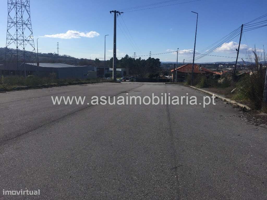 Lote Industrial - Monsul - Grande imagem: 5/5