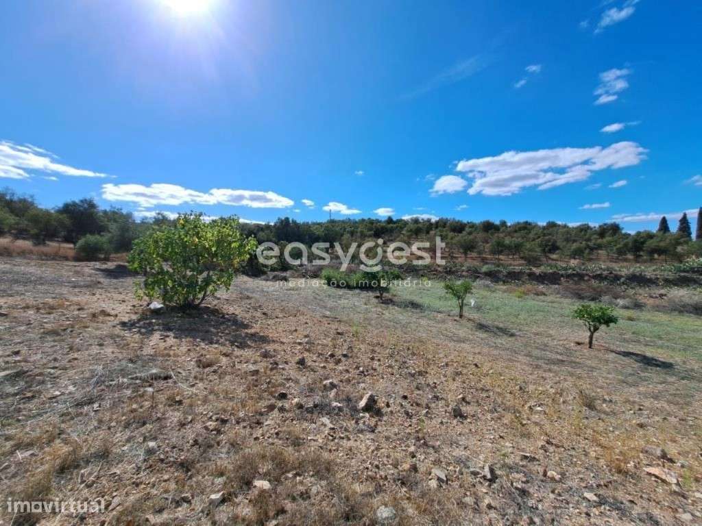 Monte no concelho de Serpa com 0,6 ha com infraestruturas no mesmo - Grande imagem: 5/21