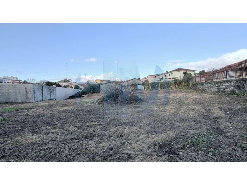 Moradia Térrea T3 para Renovação com Terreno urbano de 3.000 m² - F...-7