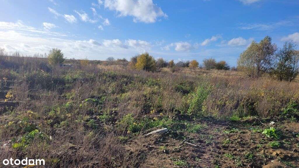 Działka budowlana z warunkami zabudowy Stobno Małe - Pełny obrazek: 5/8