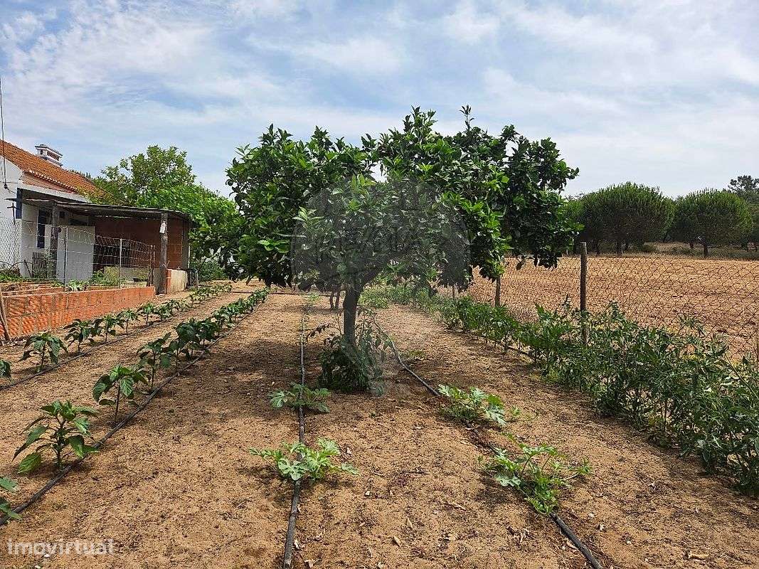 Quinta T3 para venda-31