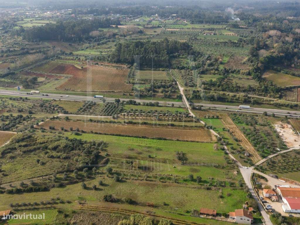 Terreno | Ventosa do Bairro, Mealhada-18