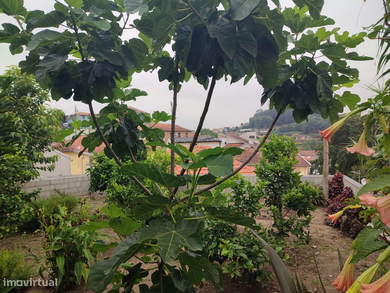 4 casas com tipologias T1, em terreno de  692m2,  à Marina do Freixo-29