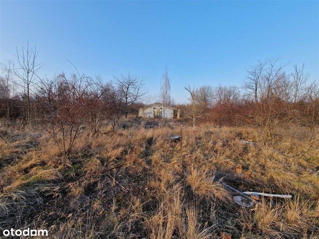 Syndyk sprzeda działki - Pełny obrazek: 2/11