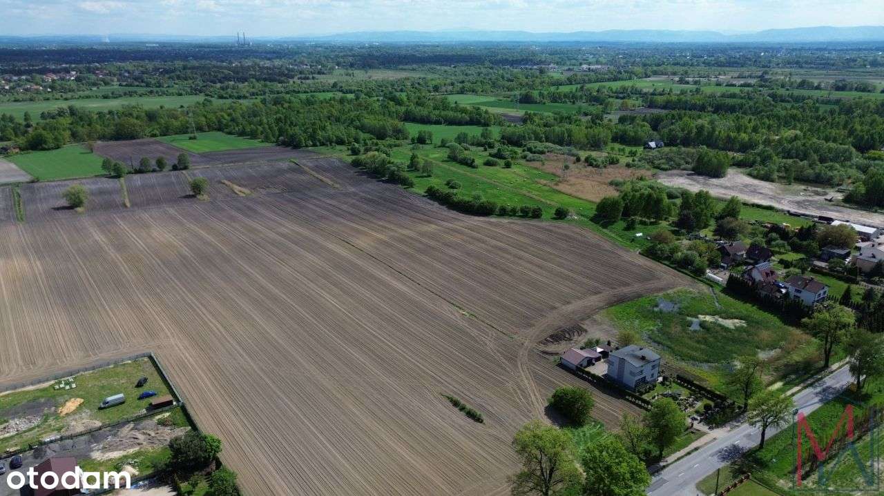 Działka usługowo- rolna Kopciowice gmina Chełm Śląski-10