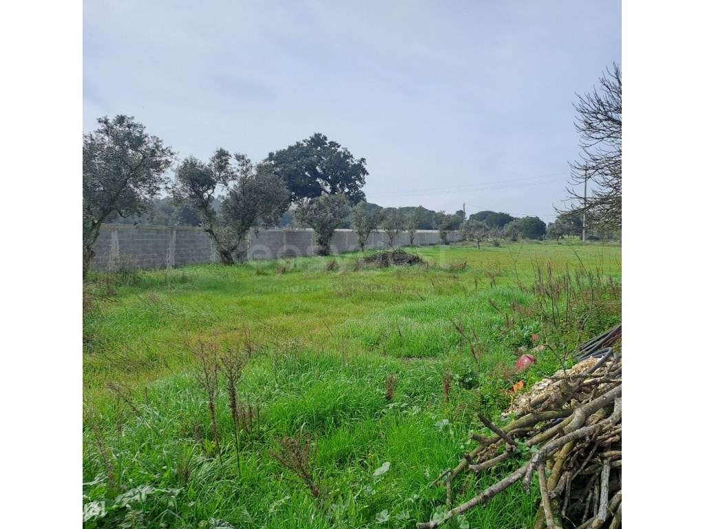 Terreno misto localizado na Moita, a 20 minutos de Lisboa - Grande imagem: 4/22