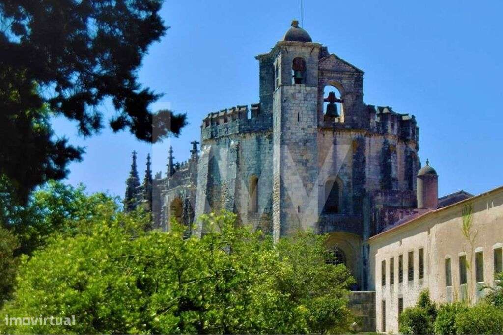 Terreno 13360 m2 - Venda  Fontinha  Casais e Alviobeira -Tomar - Santa - Grande imagem: 2/25