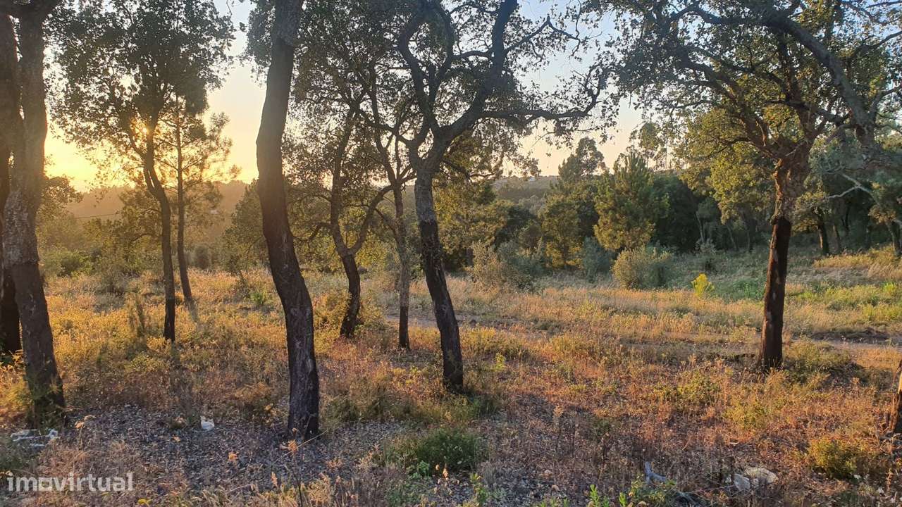 Terreno para Moradia com vista para a Serra D'Aire e Candeeiros-14