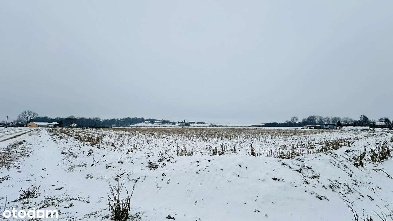 24 ary blisko Krakowa (12 ar budowlane)* Cicho* Dom, usługi, produkcja-0