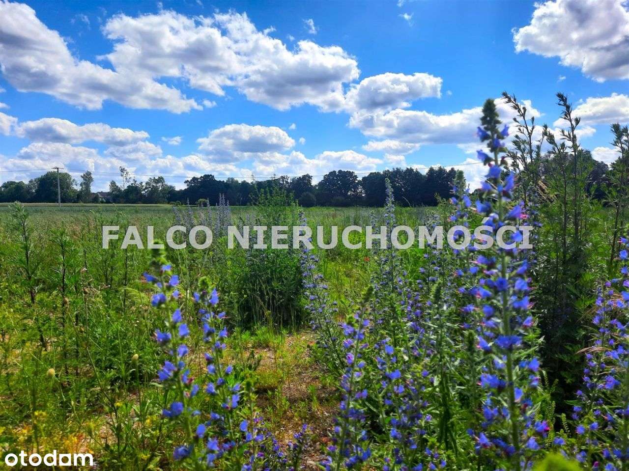 Zławieś Wielka, działki pod zabudowę jednorodzinną-1