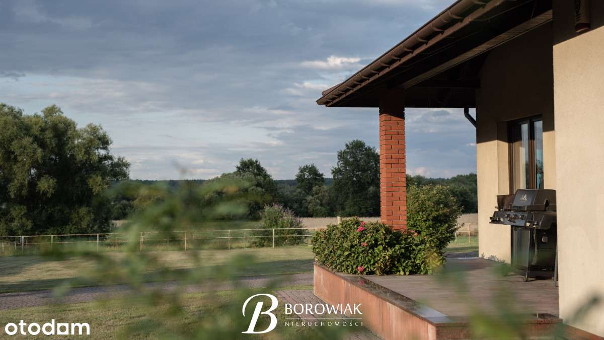 Parterowy dom w spokojnej okolicy - Osiek - Pełny obrazek: 4/20