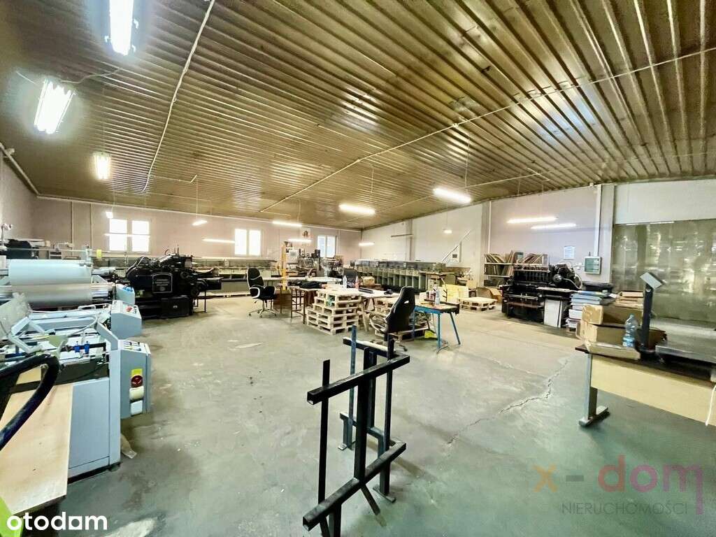 Hala produkcyjno- magazynowa w Centrum - Pełny obrazek: 4/13