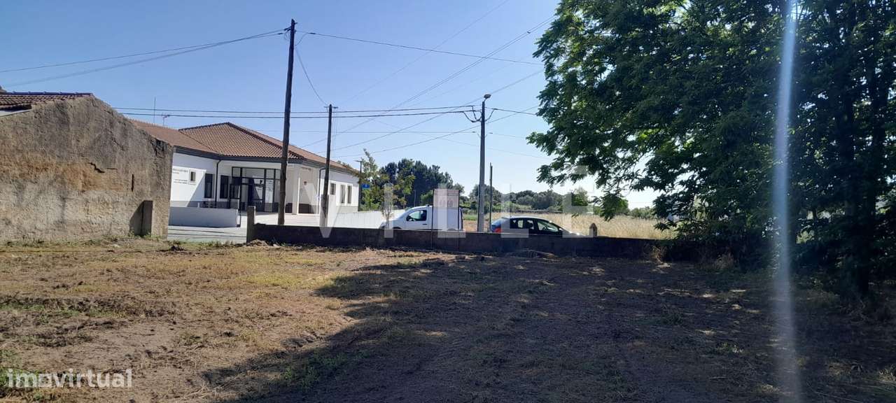 Terreno para Construção – Mamarrosa (Oliveira do Bairro) - Grande imagem: 2/5