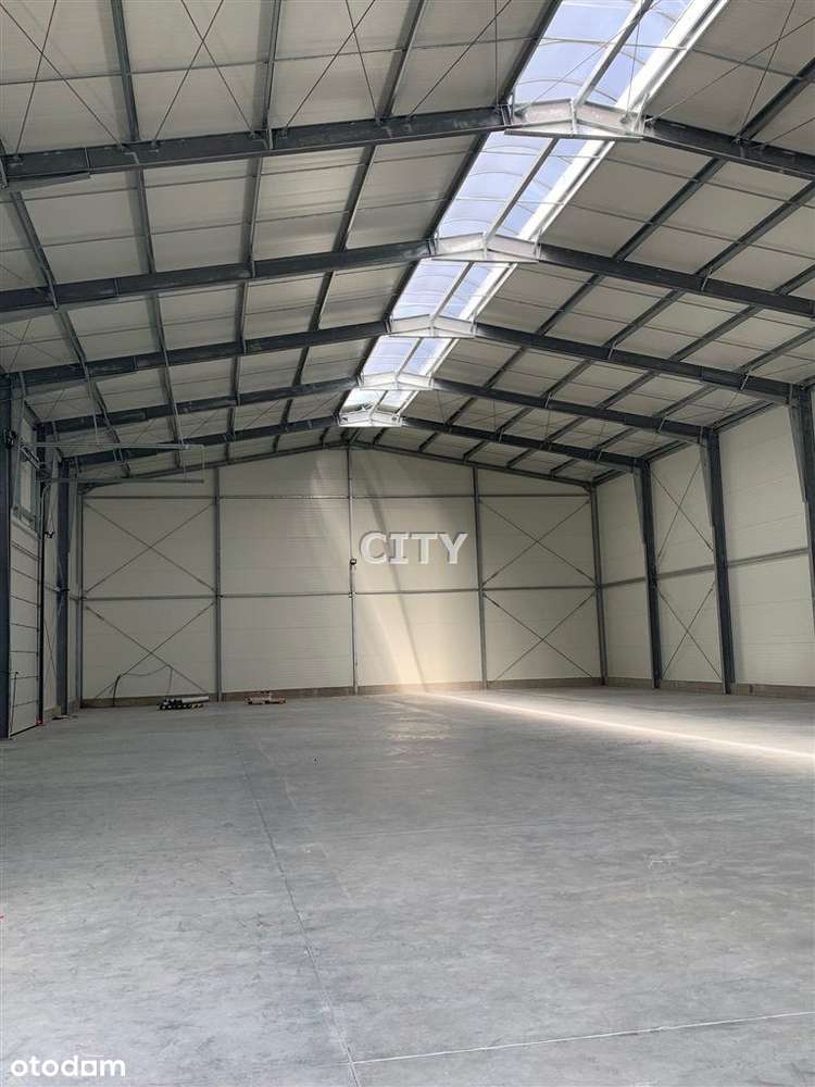 Hala/Magazyn, 1 000 m², Bielany Wrocławskie - Pełny obrazek: 4/7