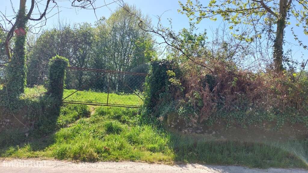 Duas moradias em pedra p/ restauro e terreno - Eira Vedra-8