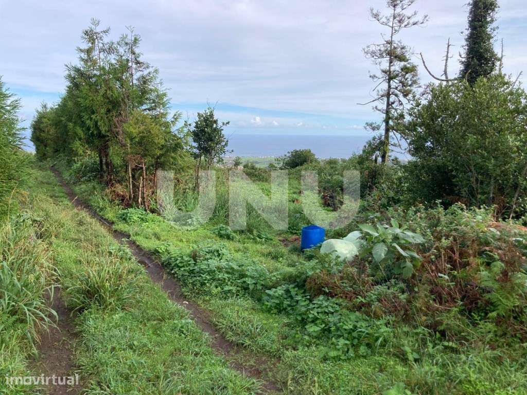 Terreno Rústico, Pico da Pedra-12