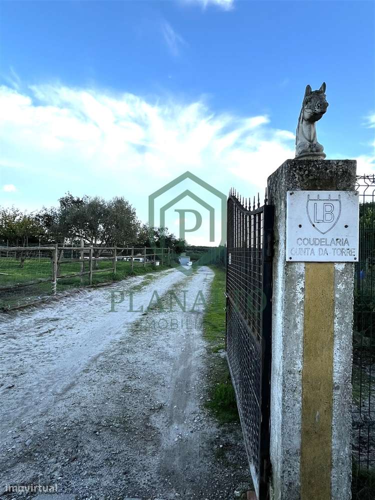 Quinta  Venda em Vendas Novas,Vendas Novas - Grande imagem: 2/16