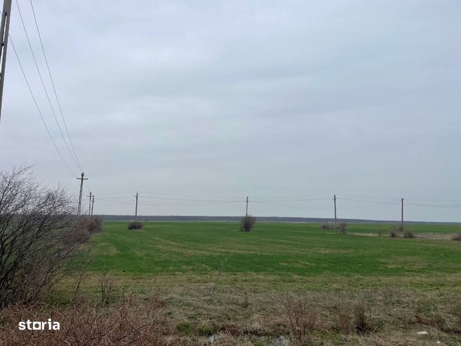 Giurgiu -Marsa Teren Agricol 8.5 Ha Deschidere 80m-4