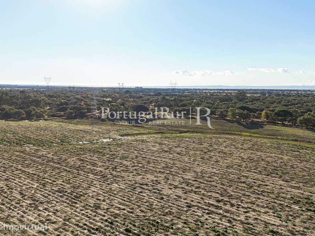 Herdade de 60 hectares para criação bovina e equina perto de Lisboa-15